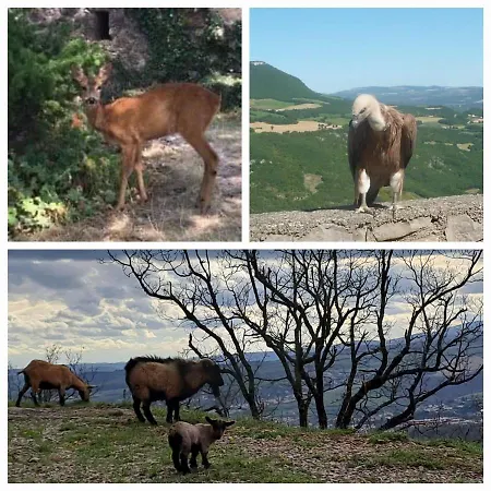 Le Passe Compose Nyaraló Millau